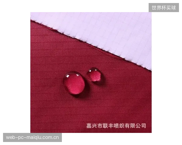 安踏集团DESCENTE产品线升级：PTFE纳米流体涂层技术如何应对高端滑雪服面料的功能性矛盾